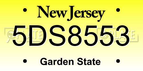 5DS8553 New Jersey License Plate