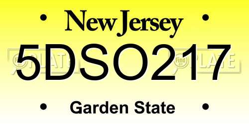 5DSO217 New Jersey License Plate