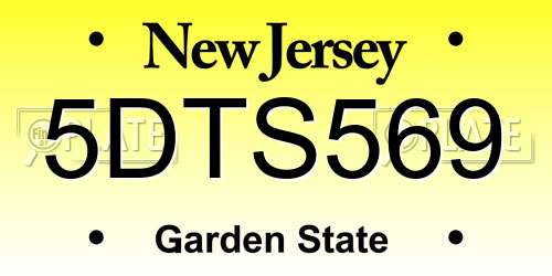 5DTS569 New Jersey License Plate