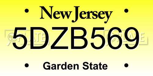 5DZB569 New Jersey License Plate