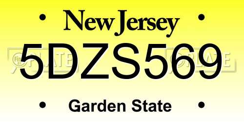 5DZS569 New Jersey License Plate