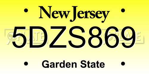 5DZS869 New Jersey License Plate
