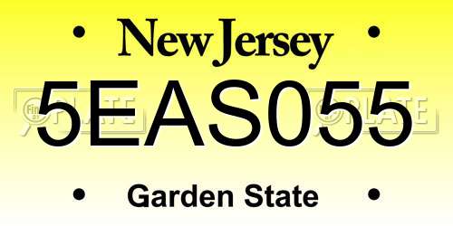 5EAS055 New Jersey License Plate