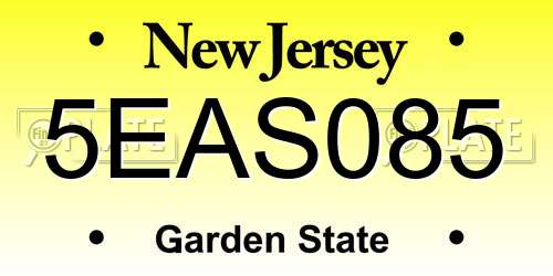5EAS085 New Jersey License Plate