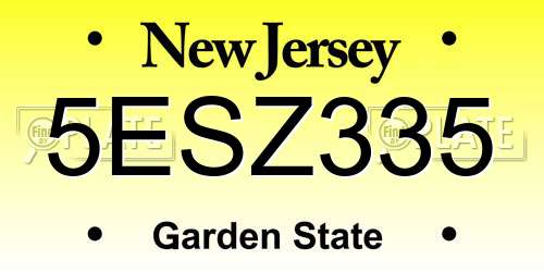 5ESZ335 New Jersey License Plate