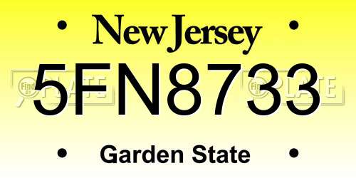 5FN8733 New Jersey License Plate