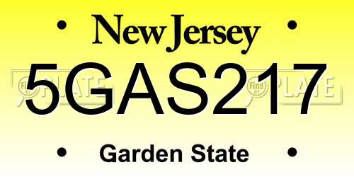 5GAS217 New Jersey License Plate