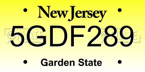 5GDF289 New Jersey License Plate