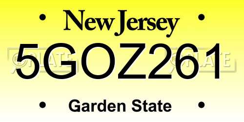 5GOZ261 New Jersey License Plate
