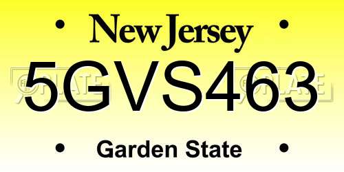 5GVS463 New Jersey License Plate