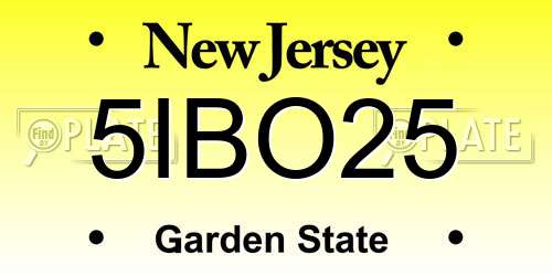 5IBO25 New Jersey License Plate