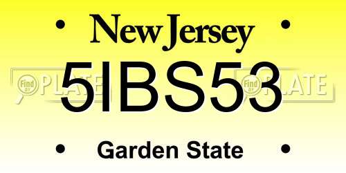 5IBS53 New Jersey License Plate