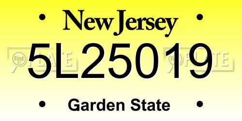 5L25019 New Jersey License Plate