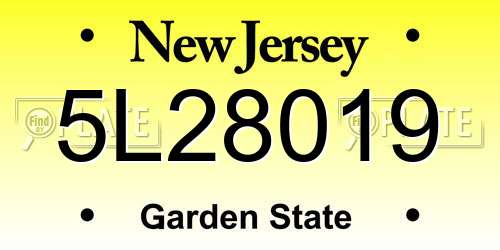 5L28019 New Jersey License Plate