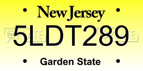 5LDT289 New Jersey License Plate