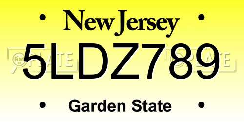 5LDZ789 New Jersey License Plate