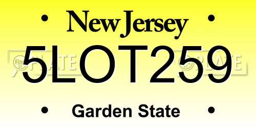 5LOT259 New Jersey License Plate