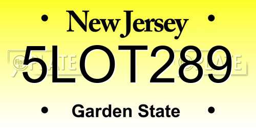 5LOT289 New Jersey License Plate