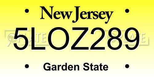 5LOZ289 New Jersey License Plate