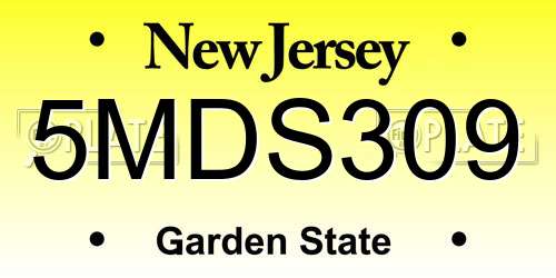 5MDS309 New Jersey License Plate