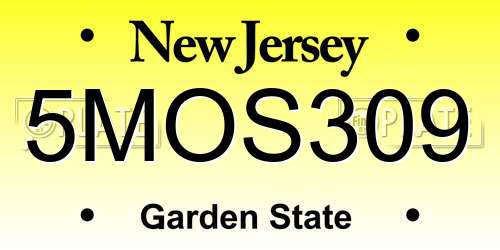 5MOS309 New Jersey License Plate