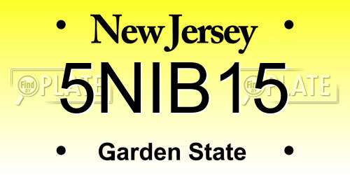 5NIB15 New Jersey License Plate