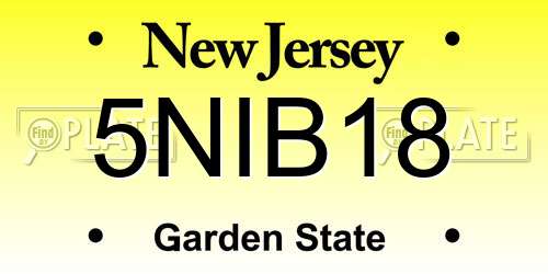 5NIB18 New Jersey License Plate