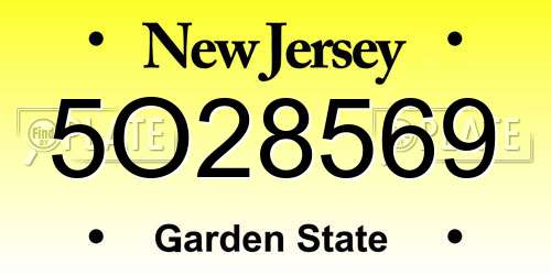 5O28569 New Jersey License Plate