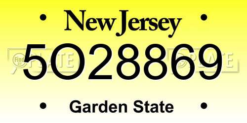 5O28869 New Jersey License Plate