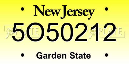 5O50212 New Jersey License Plate