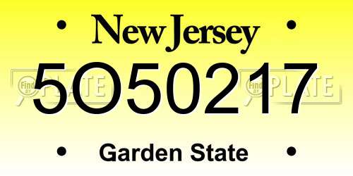 5O50217 New Jersey License Plate