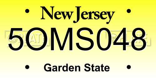5OMS048 New Jersey License Plate
