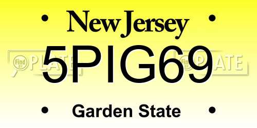 5PIG69 New Jersey License Plate
