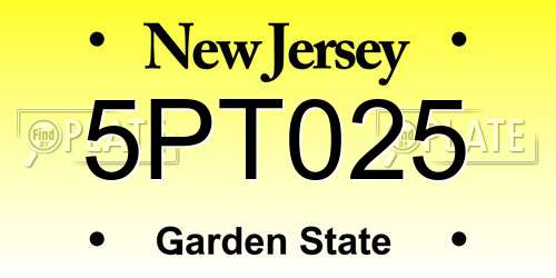 5PT025 New Jersey License Plate