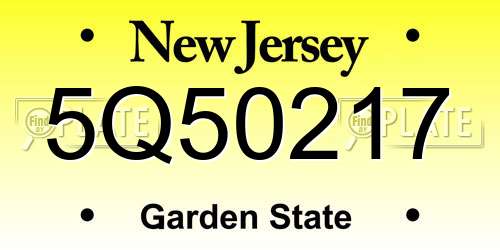 5Q50217 New Jersey License Plate