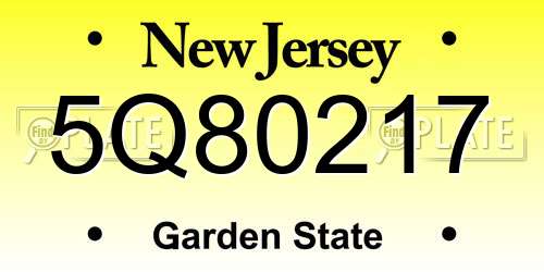 5Q80217 New Jersey License Plate