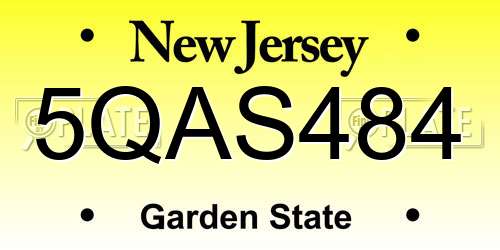 5QAS484 New Jersey License Plate