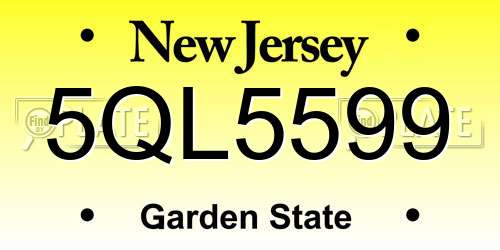5QL5599 New Jersey License Plate