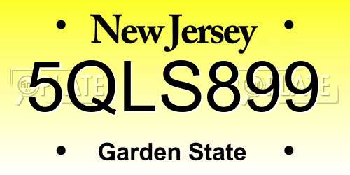 5QLS899 New Jersey License Plate