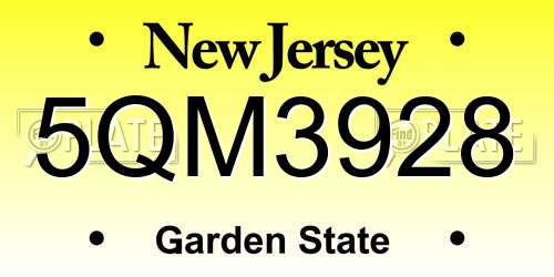 5QM3928 New Jersey License Plate