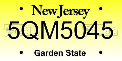 5QM5045 New Jersey License Plate