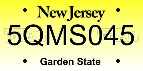 5QMS045 New Jersey License Plate