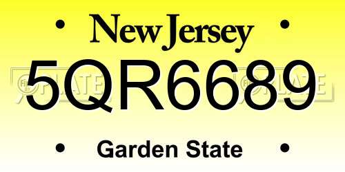5QR6689 New Jersey License Plate