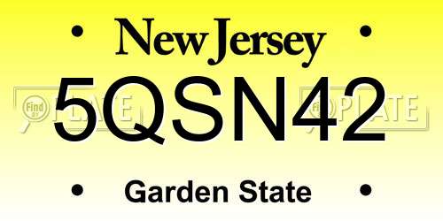 5QSN42 New Jersey License Plate