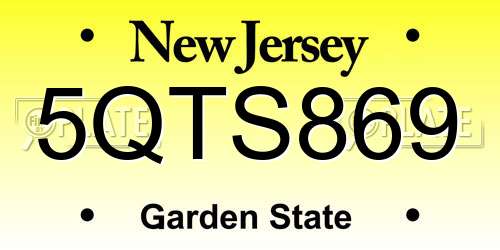 5QTS869 New Jersey License Plate