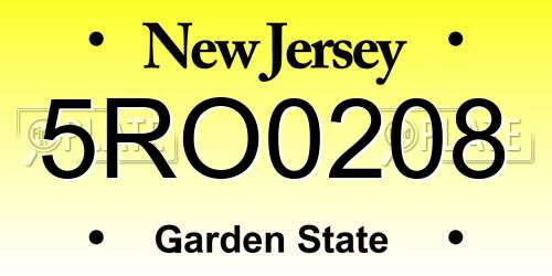 5RO0208 New Jersey License Plate