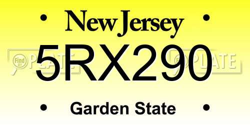 5RX290 New Jersey License Plate