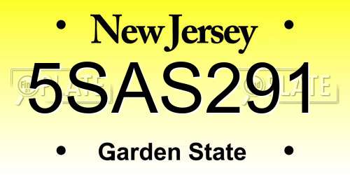 5SAS291 New Jersey License Plate