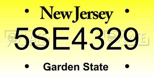 5SE4329 New Jersey License Plate