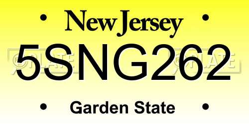 5SNG262 New Jersey License Plate